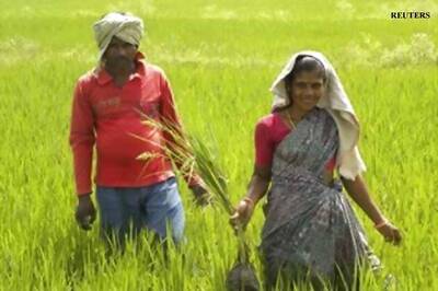MP registers record agri growth at 24.99% in 2013-14