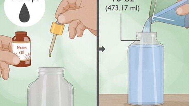 How to Make Spider Repellent at Home