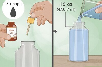 How to Make Spider Repellent at Home