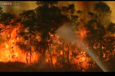 Wildfire continues to rage in Tirupati, efforts on to control it