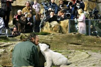 Visitors go Knuts at the Berlin zoo