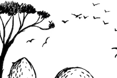 Spot The Hidden Elephant In This Optical Illusion In 5 Seconds