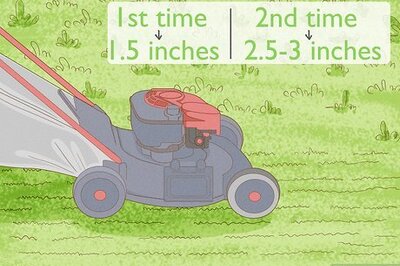 How to Remove and Prevent Sand Spurs