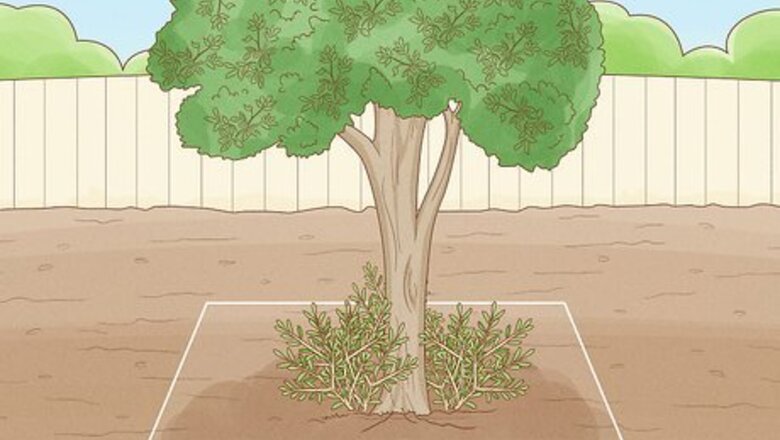 How to Chop Down a Tree