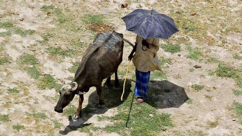 RSS-backed Farmers' Body Told Govt About Growing Anger But They Paid No Heed