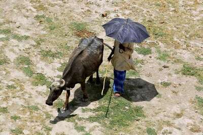 RSS-backed Farmers' Body Told Govt About Growing Anger But They Paid No Heed