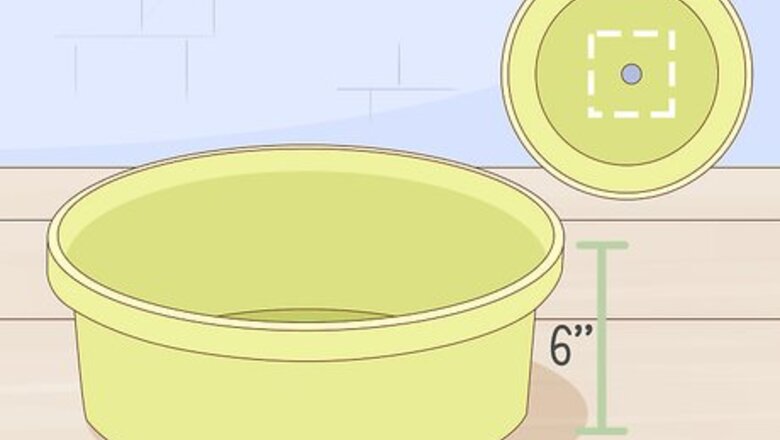 How to Grow Onions Indoors