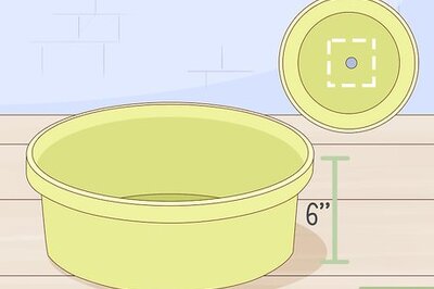 How to Grow Onions Indoors