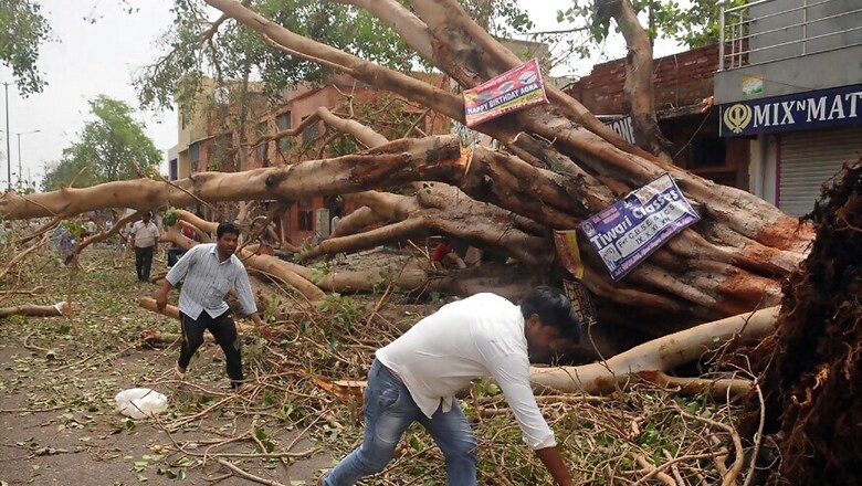 109 Dead as Massive Dust Storm Ravages UP, Rajasthan; Another May Strike in 48 Hours