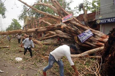109 Dead as Massive Dust Storm Ravages UP, Rajasthan; Another May Strike in 48 Hours