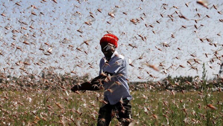 Who Are Arathiyas And Why Does the Punjab Govt Want This System to Continue?