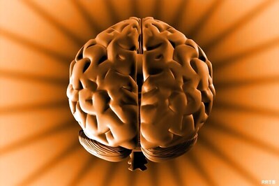 Scientists grow 'mini human brains' from stem cells