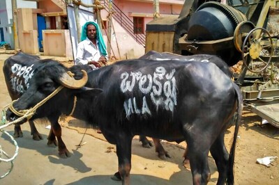 Superstar Nandamuri Balakrishna's Constituency Faces Water Crisis in Andhra