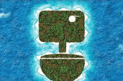 Monsoon-Proof Toilet Designs: Balancing Aesthetics and Functionality