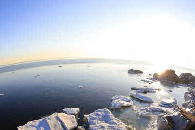 Global Warming is so Bad, Arctic Winter Sea Has Hit its 10th Lowest on Record