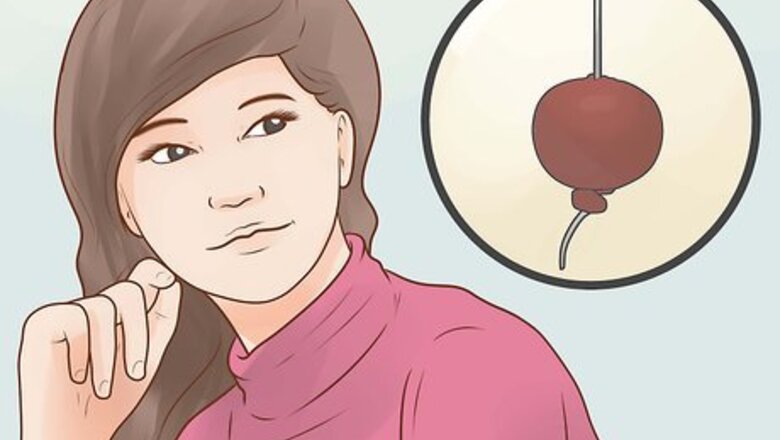 How to Play Conkers