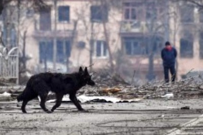 Ukraine Proposes Talks With Russia Near Besieged Mariupol Plant