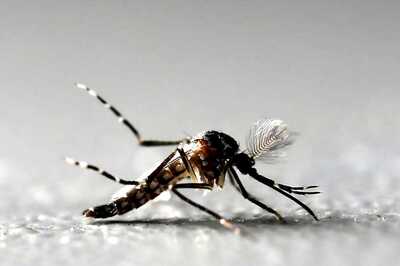 Dengue Claims Life of 19-year-old at Nagpur's Posh Area