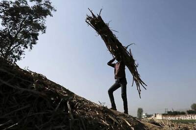 After PM Modi's Promise to Sugarcane Farmers, Akhilesh Says 'Roadshows Won't Help'