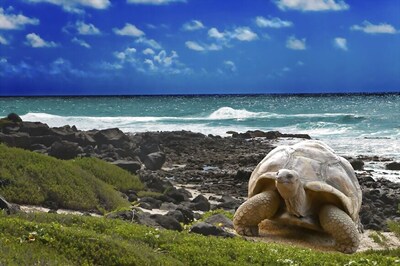 New 'No Go' List Ranks Places to Avoid Visiting in 2018