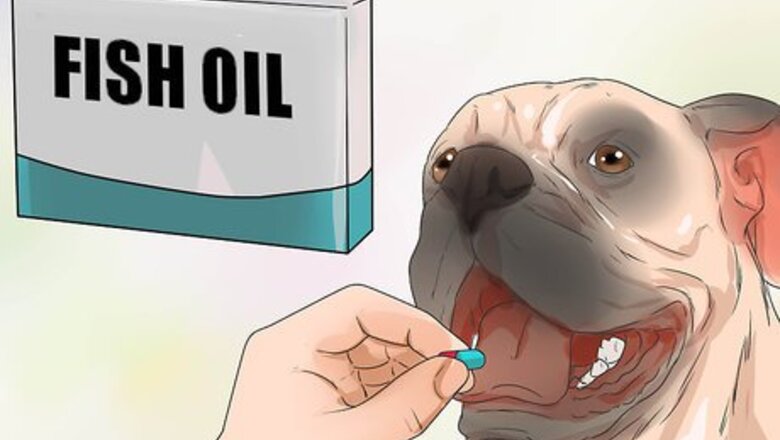 How to Use Fish Oil for Dogs