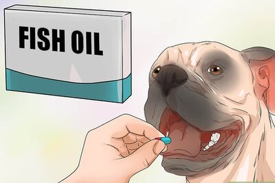 How to Use Fish Oil for Dogs