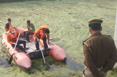 Over 60 Cow Carcasses Floating in UP River Shock Sitapur Residents, Probe Ordered