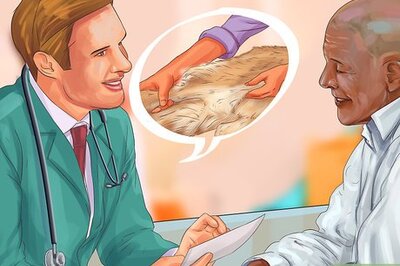 How to Get Canine Physical Therapy