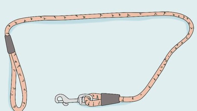 How to Walk a Dog on a Leash