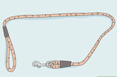 How to Walk a Dog on a Leash