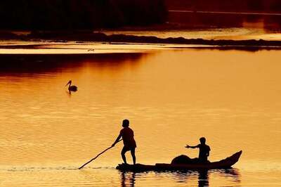 18 Indian Fishermen Arrested for Poaching in Sri Lankan Waters