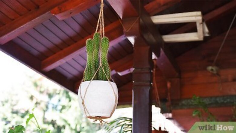 How to Make a Plant Hanger
