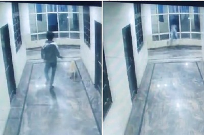Hyderabad Man Falls Off Third Floor While Chasing Dog In Hotel Lobby, Dies