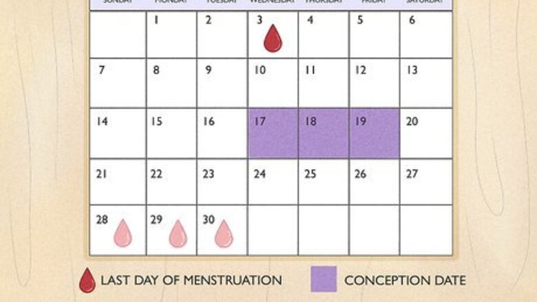 How to Understand the Stages of Pregnancy