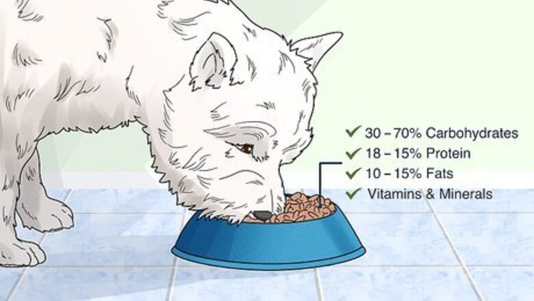 How to Choose a Dry Dog Food