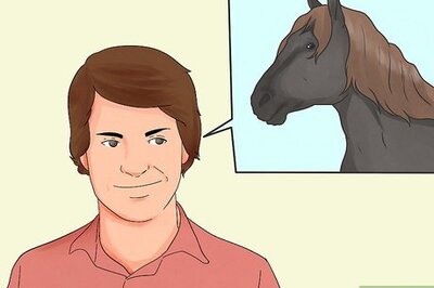 How to Find Wild Horses