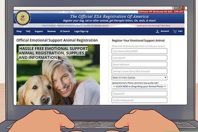 How to Register an Animal