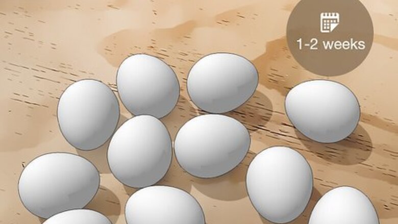 How to Stop Eggs from Smelling in Your Lunch Box