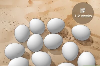 How to Stop Eggs from Smelling in Your Lunch Box