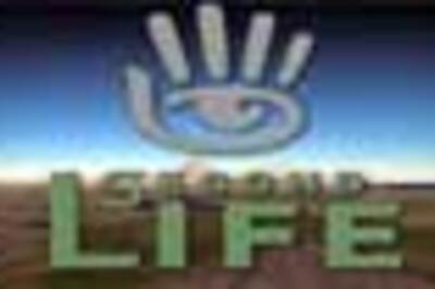 Online divorcee jailed for killing virtual hubby