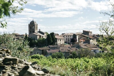 New Languedoc Stars: La Liviniere Wines Shine