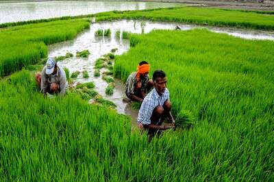 Centre Releases Rs 553 Crore to States for Agricultural Mechanization