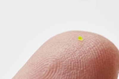 Remember The Microscopic Louis Vuitton Handbag? It Was Sold For Rs 51 Lakh