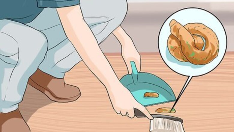 How to Prevent Whipworms in Dogs
