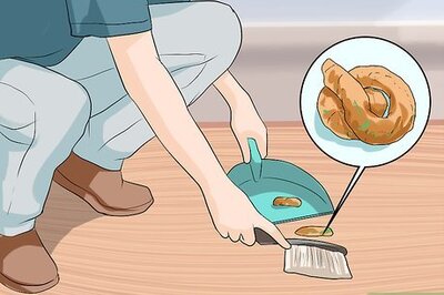 How to Prevent Whipworms in Dogs