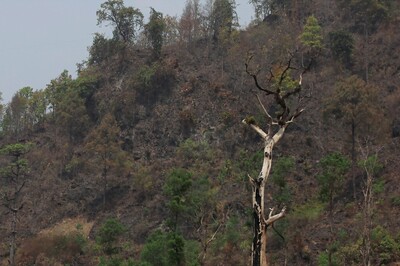 Nepal: Three Missing Indians Rescued From Forest 10 Hours After Disappearance