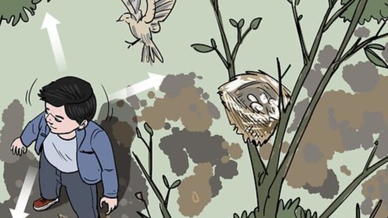 How to Move a Bird Nest