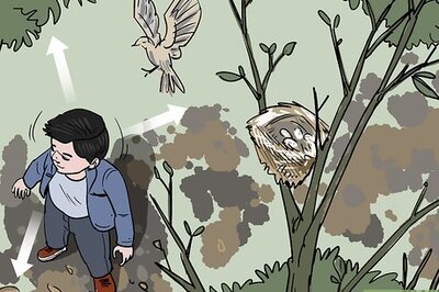 How to Move a Bird Nest