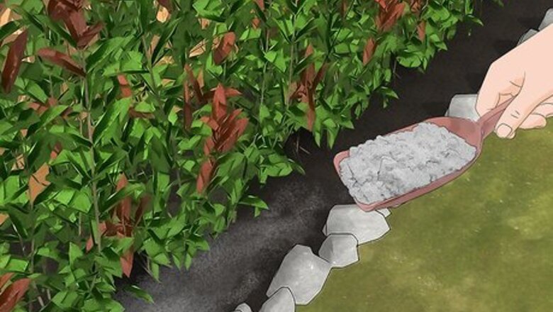 How to Keep Raccoons Out of the Garden