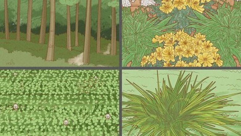 How to Conserve Soil